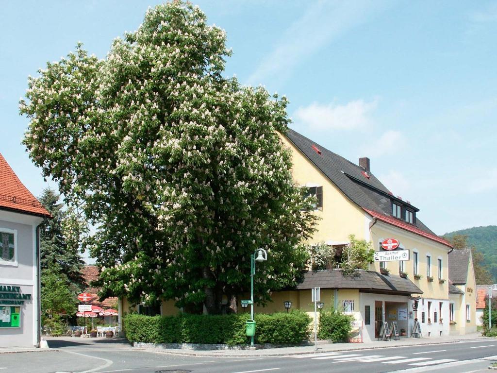 Готель Gasthof Thaller Lebring Екстер'єр фото